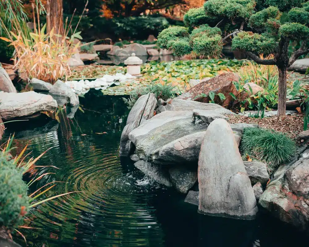 Garten Entwässerung richtig planen Beitragsbild