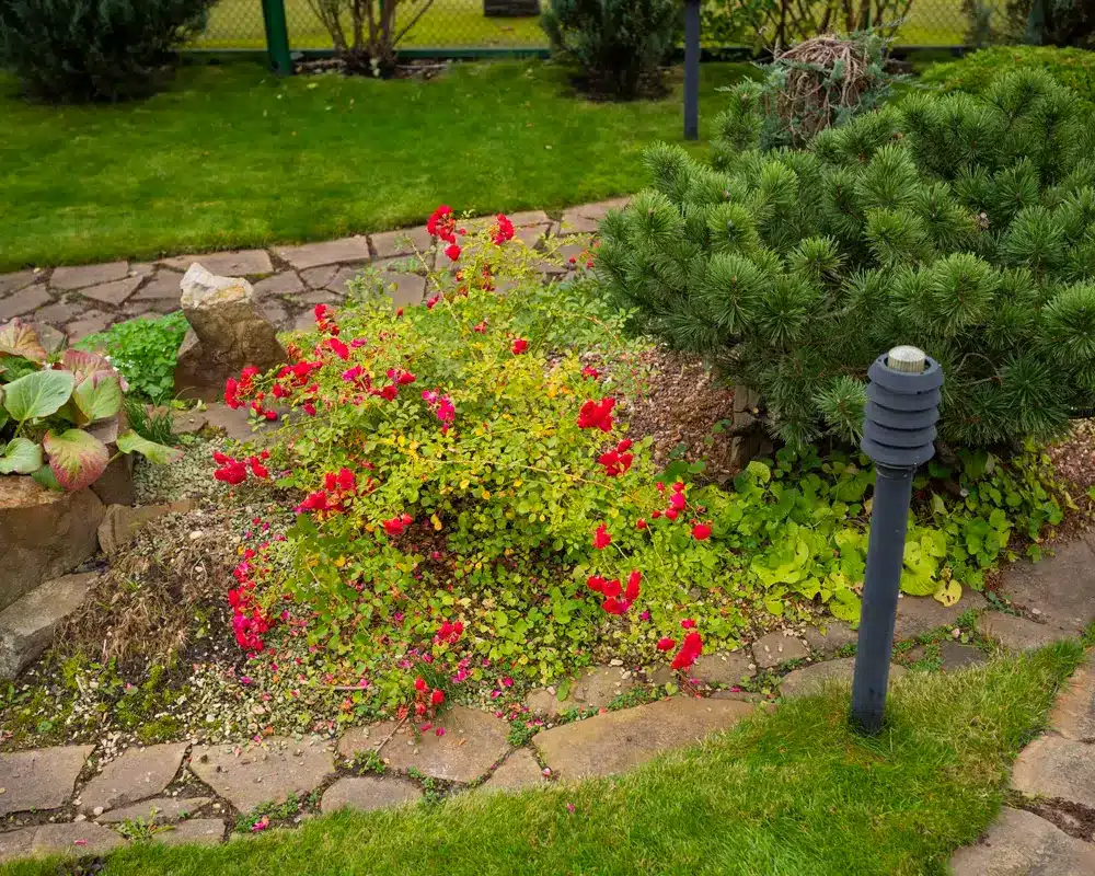 Gartengestaltung kleiner garten Beitragsbild