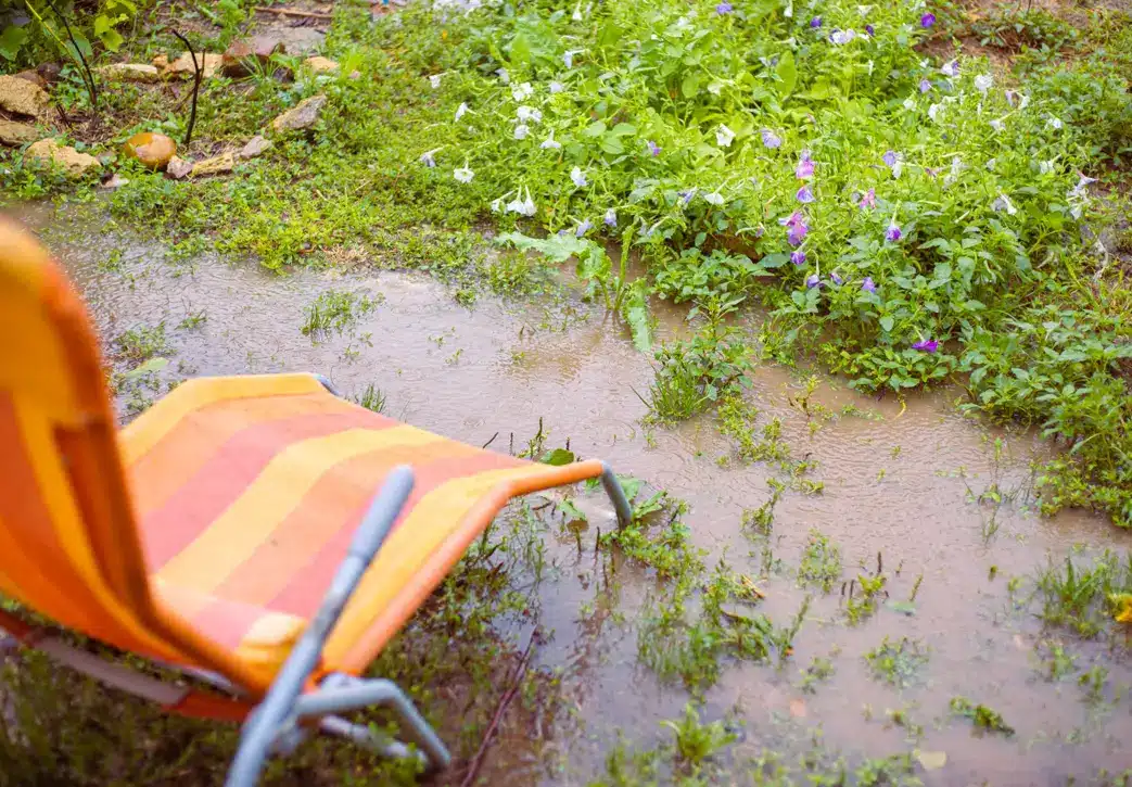 Garten mit Staunässe in Rüsselsheim